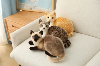 25-40 cm Simulácia Mačka Plyšové Hračky Americký Shorthai Siamské Kitty Cute Pet Doll plyšáka Deti Domova Dieťa Darček  5