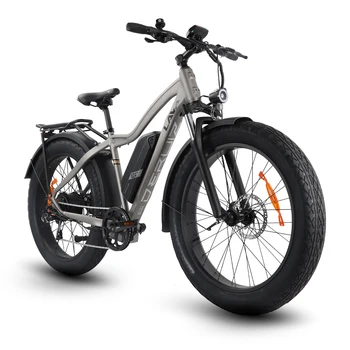 DERUIZ Elektrický Bicykel 26 palec 20-palcový Snow Požičovňa Klince Tuku Pneumatiky 48V 750W 500W 624WH Samsung Batéria nabitá Terén Mužov Wome E-bike  4